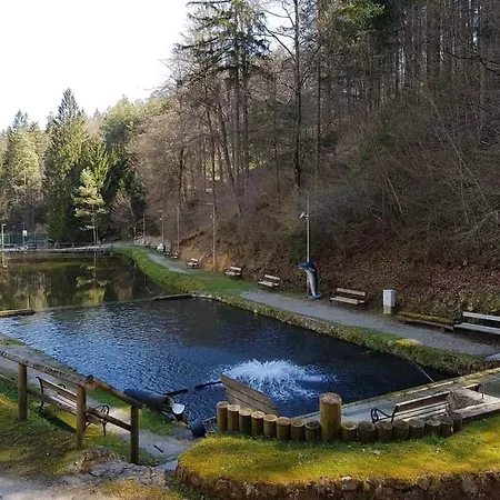 Glamping - Kamp Steska Campsite